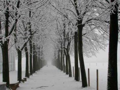 "Rimembranze invernali"