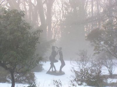L'amore della nebbia scurile
