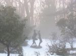 L'amore della nebbia scurile