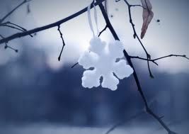 Trecentosessantaquattro (giorni)  