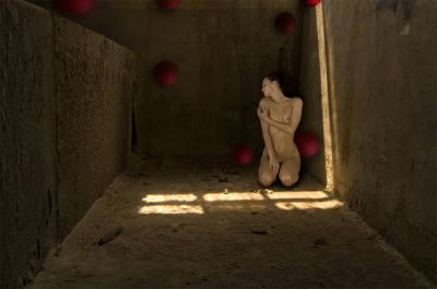 Anobium punctatum (tarlo)