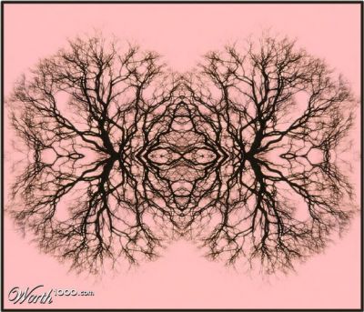 Rimorsi (rimpianti)?