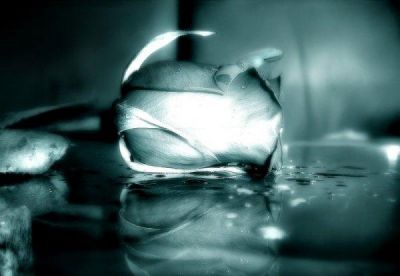 D�argento le punte