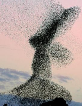 Il sole a mezzanotte