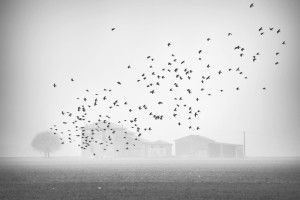 Aspirazione (di vita)