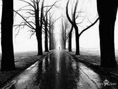 Avrei voluto dirti addio