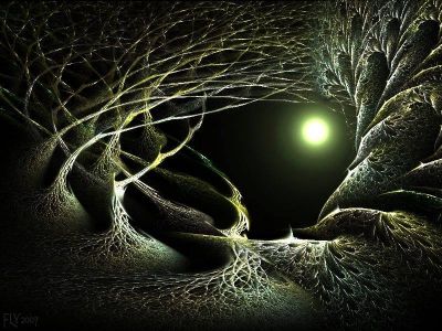 Voce del verbo amare