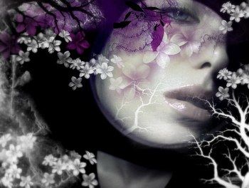 Gradualmente senza me