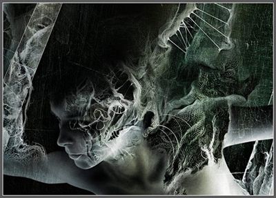 Quanto pesa il vento