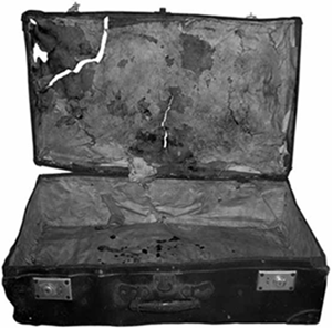 Alle spalle dell'amore