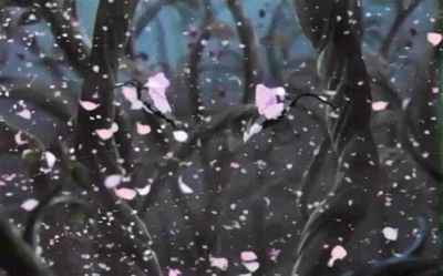 Il paese delle rose selvatiche