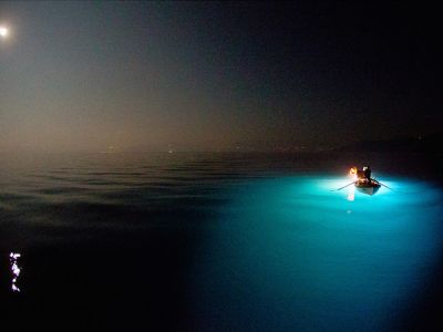 Sul pensiero della notte