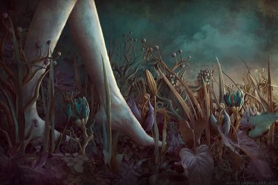 Finch� dura la notte