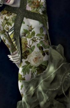 Un�ora un pensiero: un prato d�aprile