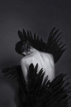 La forza � castigo