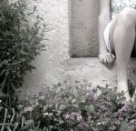 Sopravvive il pi� forte