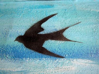 Il volo della rondine