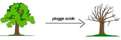Piogge acide