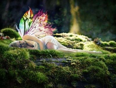 La Storia di un Perdente