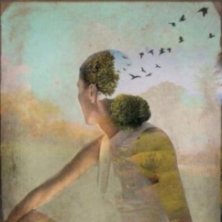 Se di amore si parla