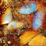 Wanted (nata libera)