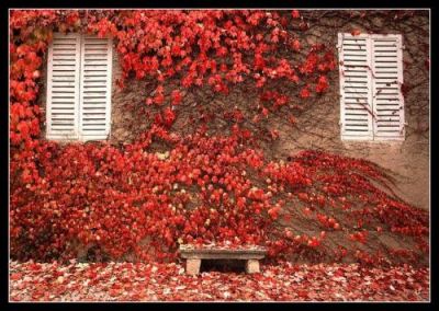 Tra il sonno e l'alba
