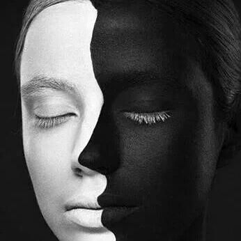 Il canto delle cicale