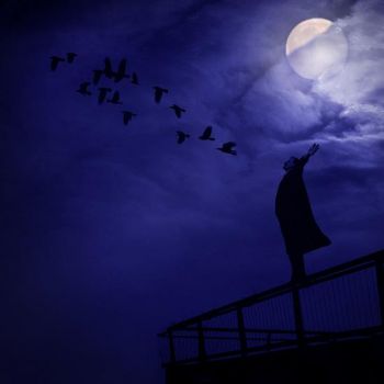 Il volto dei miei giorni