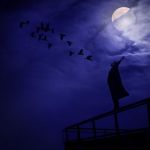 Il volto dei miei giorni