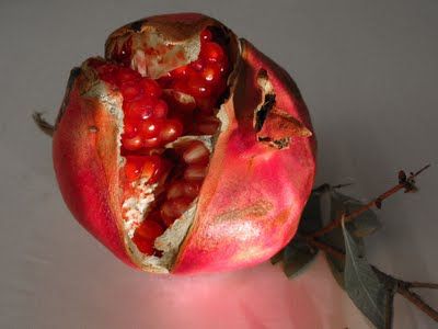 Come un frutto cresciuto troppo