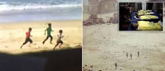 Noi, della vita fiori recisi