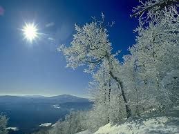 Le paure (ansia del vivere)