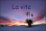 La vita