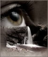 E noi, noi la chiamiamo vita