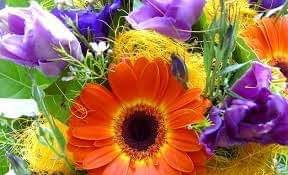 Estate di san Martino