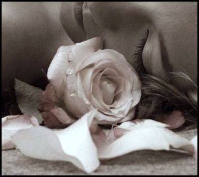 Il roseto ha messo gli occhi