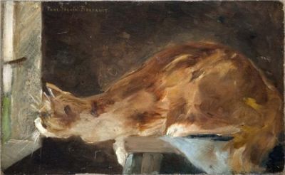 Di gatti e altre cose