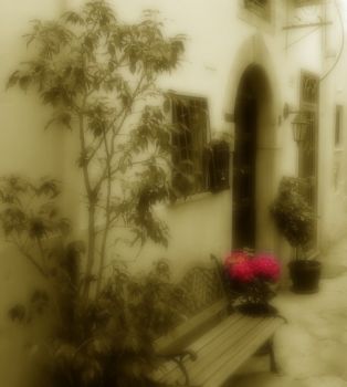 Se non mi vedrai tornare