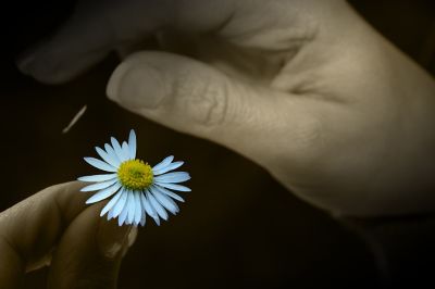 Il silenzio della stanza