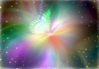 Farfalle d'un'estate