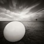 L'inerzia delle coscienze