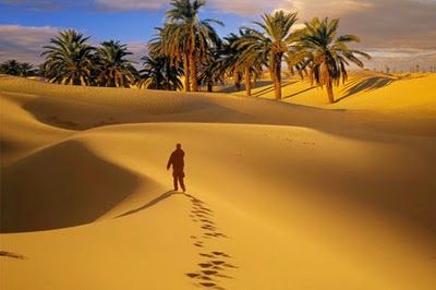 Il miraggio della tua oasi