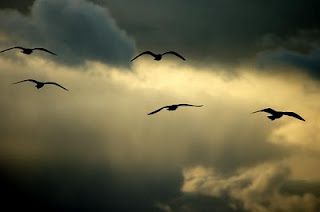 Il rinascere delle stelle  