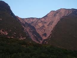 Il seme della verit�