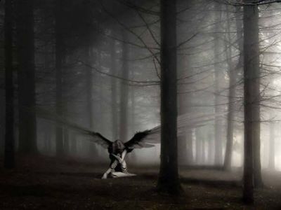 Lui � solo un rifugio d'edera