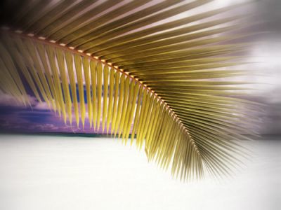 Il mondo che non c'e'  