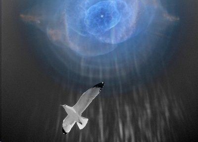 Io sulle ali dell’anima