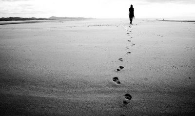 Sulle orme della vita