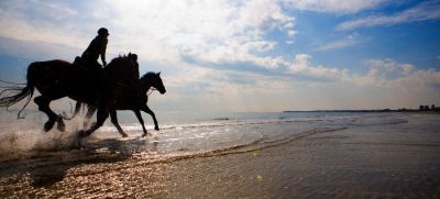 Noi, radici d�amore