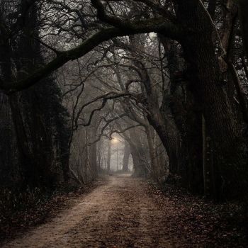 Nel tepore dei crepuscoli